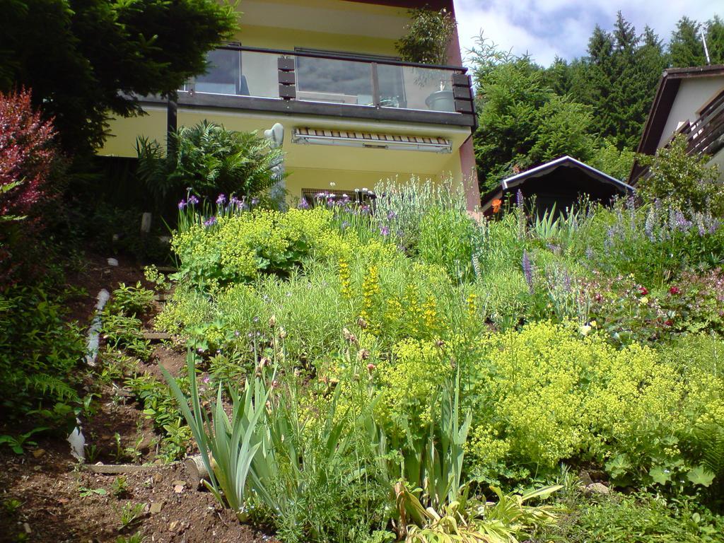 Haus Wiesental Kleines Wiesental Exteriér fotografie