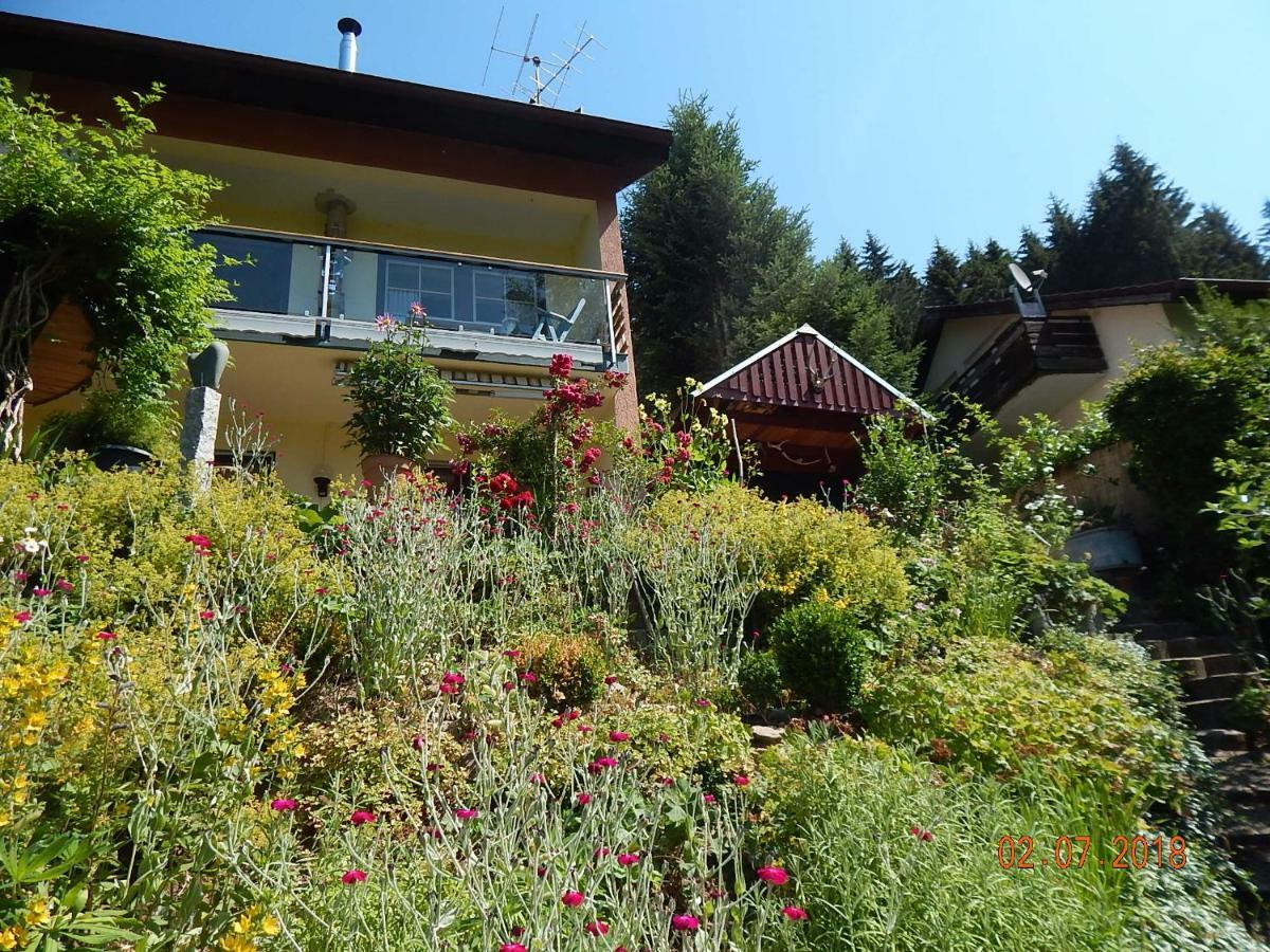 Haus Wiesental Kleines Wiesental Exteriér fotografie