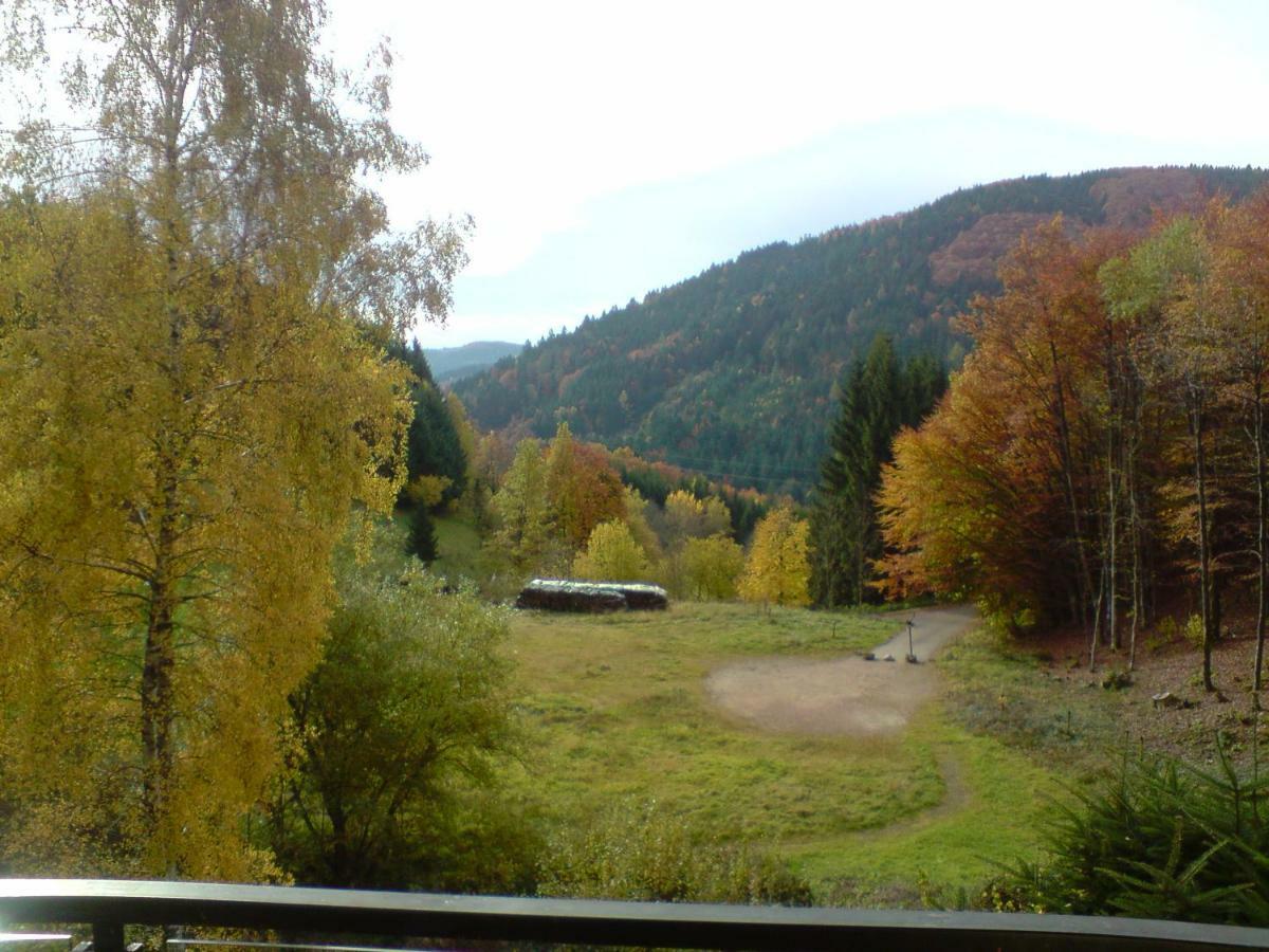 Haus Wiesental Kleines Wiesental Exteriér fotografie